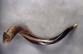 Blog Image: Shofar.JPG