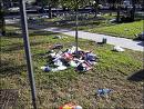 Blog Image: litter.jpg