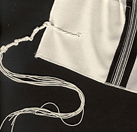 Blog Image: tzitzis.gif